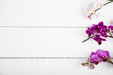 Similar image 13165632