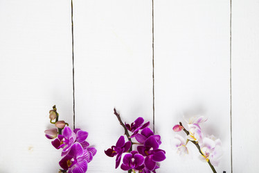 Similar image 13165633