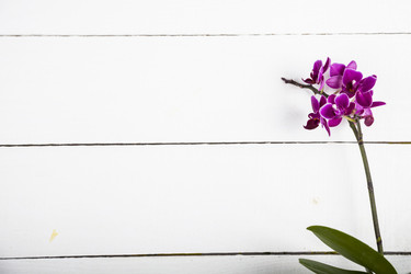 Similar image 13165635