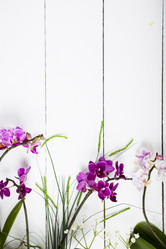 Similar image 13165636