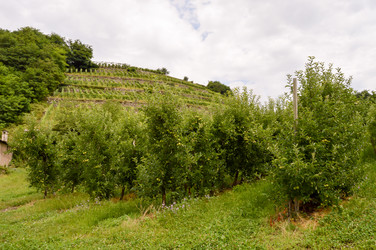 Similar image 13165957