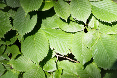 Similar image 13166007