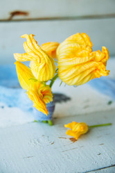 Similar image 13179848