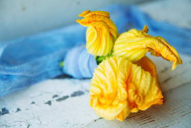 Similar image 13179868