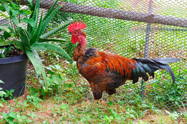 Similar image 13187749