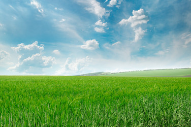 Similar image 13187773