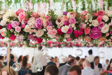 Similar image 13166016