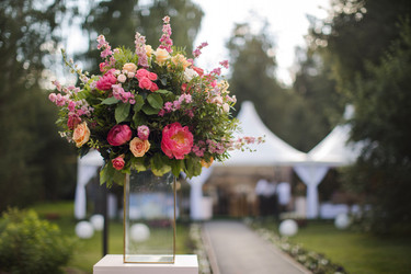 Similar image 13166020