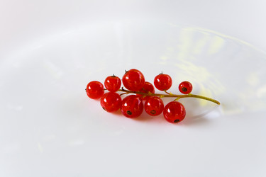 Similar image 13165940