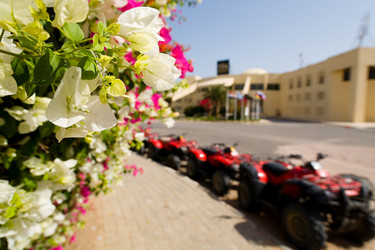 Similar image 13165960