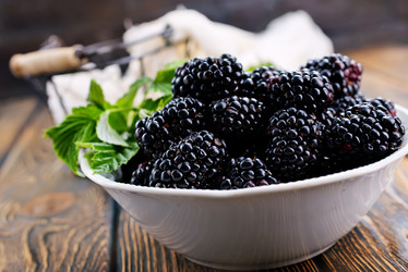 Similar image 13167029