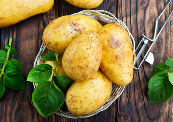 Similar image 13167066