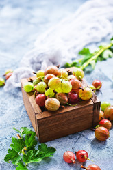 Similar image 13167141