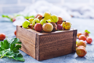 Similar image 13167143