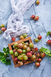 Similar image 13167146