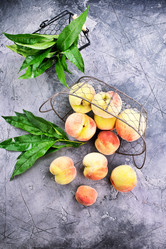 Similar image 13167520