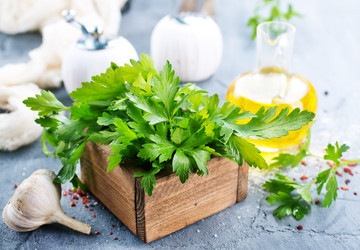 Similar image 13167193