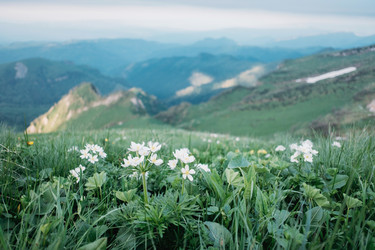 Similar image 13172416