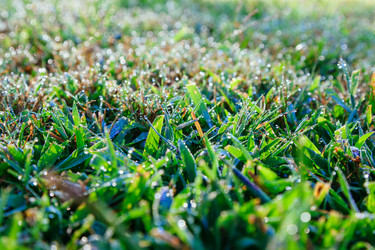 Similar image 13166092