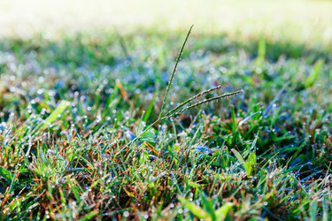 Similar image 13166093