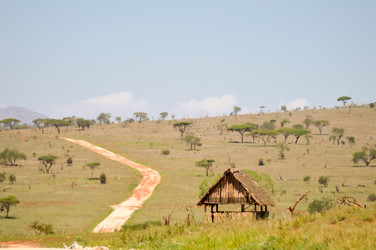 Similar image 13165982