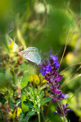 Similar image 13165921