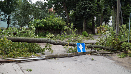 Similar image 13165892