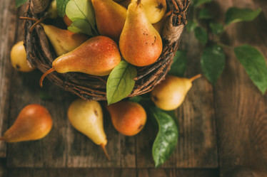 Similar image 13172139