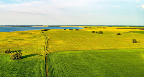 Similar image 13165894