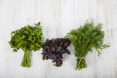 Similar image 13167648