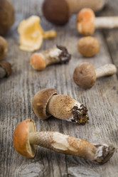 Similar image 13177537