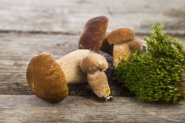 Similar image 13177538