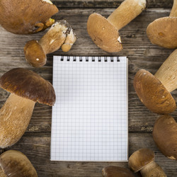 Similar image 13177539