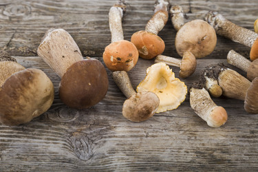 Similar image 13177576