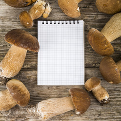 Similar image 13177577