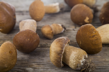 Similar image 13177578