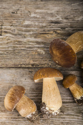 Similar image 13177579