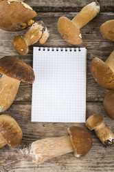 Similar image 13177580