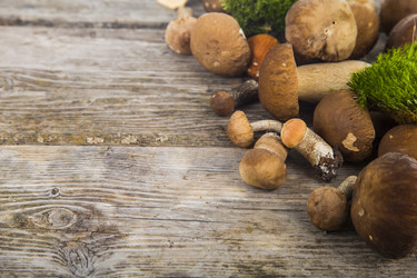 Similar image 13190212