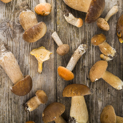 Similar image 13190215