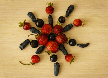 Similar image 13166234