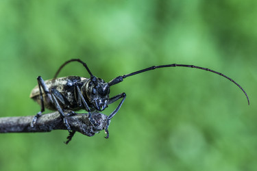 Similar image 13173481