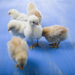 Similar image 13177590