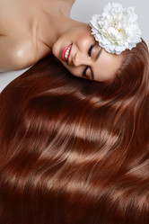 Similar image 13183541