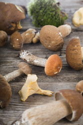 Similar image 13167592