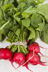 Similar image 13167596