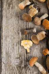 Similar image 13167597