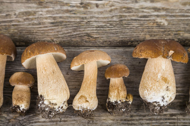 Similar image 13167617