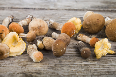 Similar image 13167619