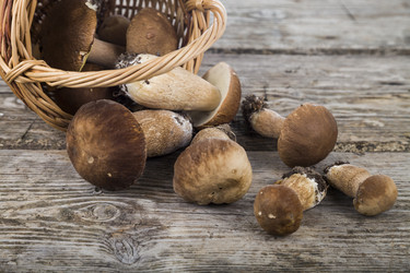 Similar image 13167636